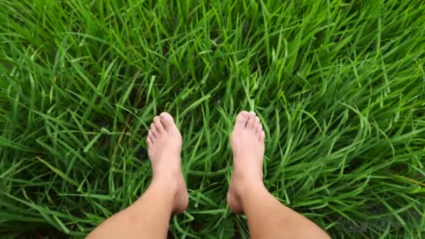Πόδια Από Πόδια Μιας Γυναίκας Ένα Πράσινο Γρασίδι — Αρχείο Βίντεο