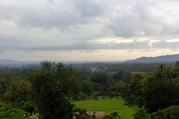 Flygbild Vacker Skog Full Frodiga Gröna Träd Molnig Himmel Indonesien — Stockfoto