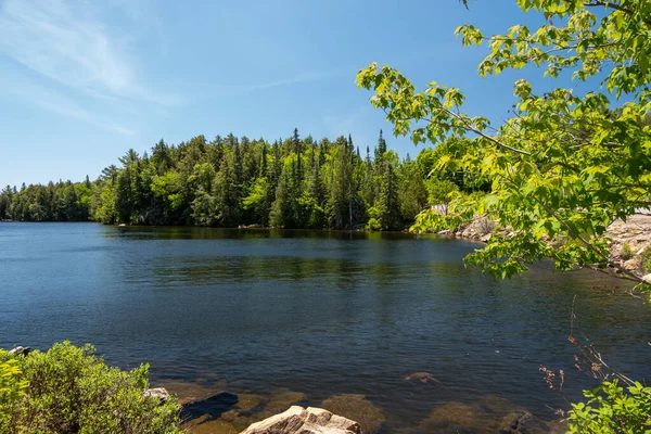 Uma Bela Foto Lago Cercado Por Uma Floresta Algonquin Canadá — Fotografia de Stock