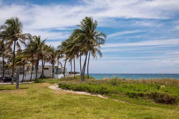 Uma Bela Vista Das Palmeiras Lado Oceano Atlântico Deerfield Beach — Fotografia de Stock