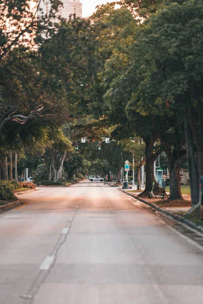 Plan Vertical Une Route Urbaine Entourée Arbres — Photo