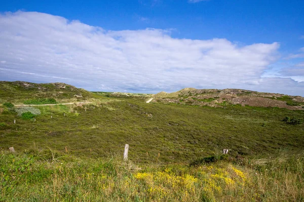 Uma Bela Paisagem Verão Com Campo Verde Céu Azul — Fotografia de Stock