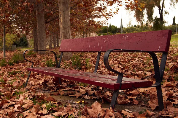 Una Panchina Legno Nel Parco Una Giornata Autunnale — Foto Stock