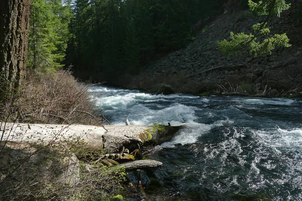 Une Vue Panoramique Eau Ondulée Rivière Metolius Entourée Une Forêt — Photo