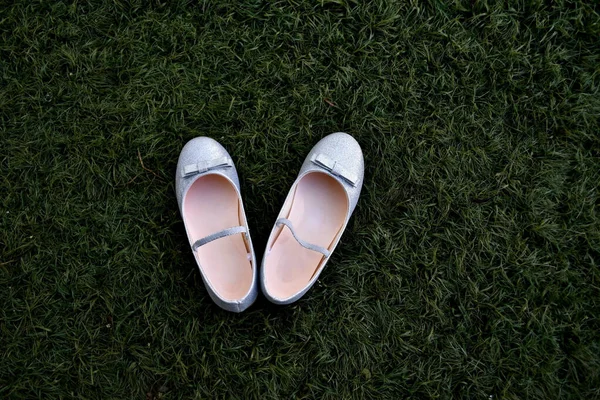 Uma Vista Superior Bela Elegante Prata Brilhante Menina Plana Sapatos — Fotografia de Stock