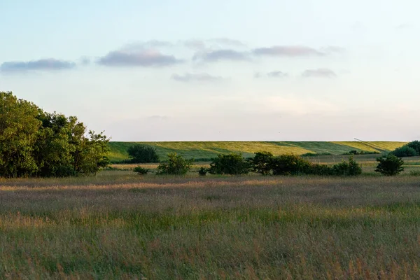 Eine Schöne Sommerlandschaft Mit Feld Und Bäumen — Stockfoto