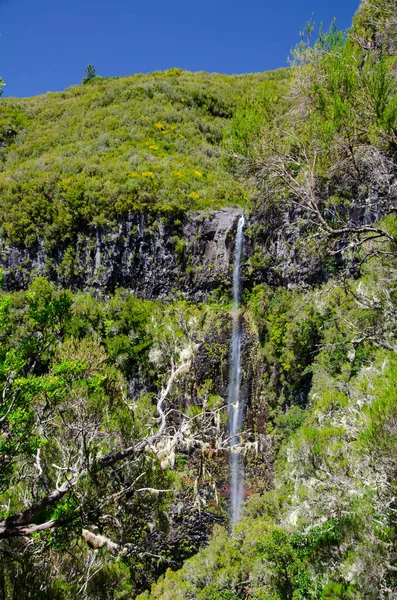 Вертикальный Снимок Красивого Водопада Риско Мадейра Португалия — стоковое фото