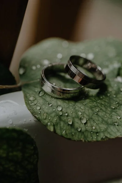 Egy Függőleges Közelkép Jegygyűrűkről Nedves Levélen — Stock Fotó