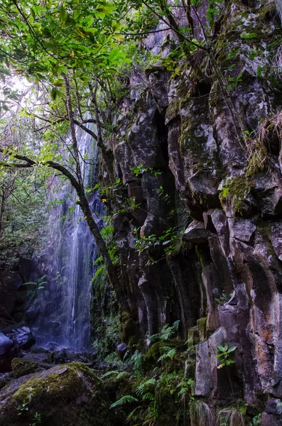 Vertikální Snímek Krásného Vodopádu Risco Madeira Portugalsko — Stock fotografie