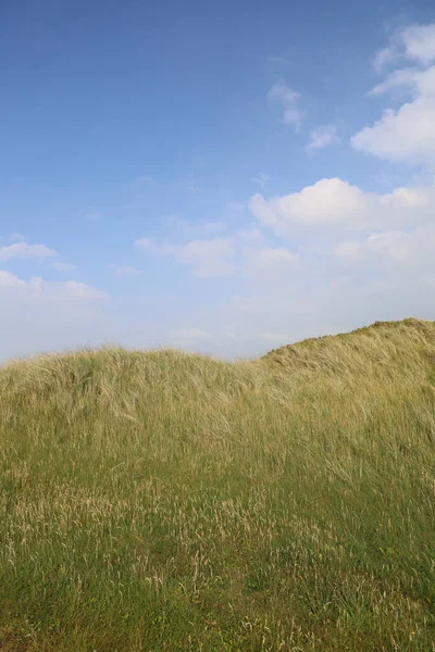 Вертикальный Снимок Травянистого Песчаного Ландшафта Пляже Возле Рубьерг Кнуде Дания — стоковое фото