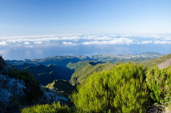 Hermoso Paisaje Montañoso Con Flores Silvestres Madeira Portugal — Foto de Stock