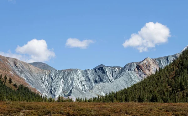 언덕으로 둘러싸인 과푸른 — 스톡 사진