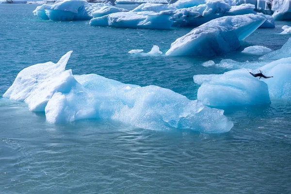 Primo Piano Ghiacciaio Islandese Con Bellissimo Fondo Acqua Ghiacciata — Foto Stock