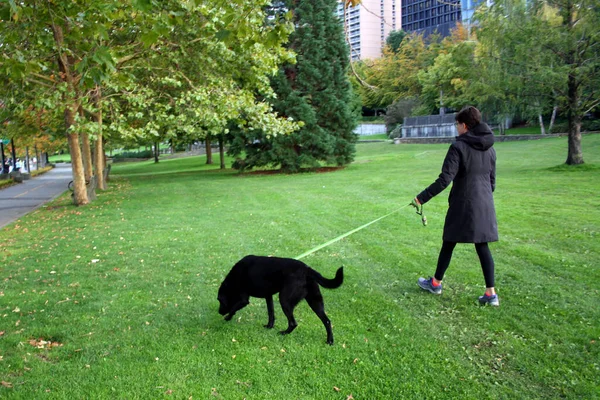 Vancouver Canada Sep 2021 Korthårig Kvinna Går Med Hund Den — Stockfoto