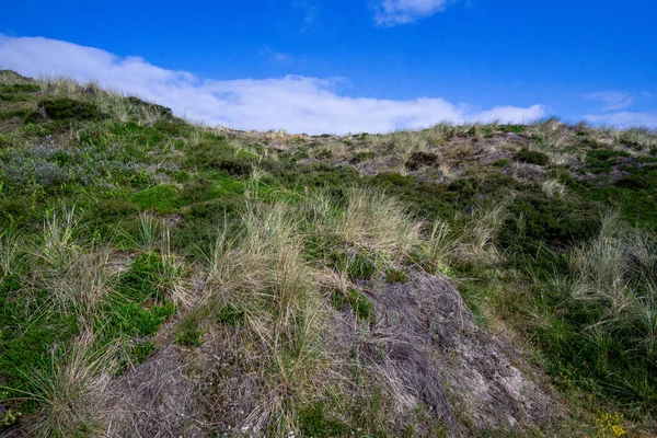 Eine Schöne Sommerlandschaft Mit Grünem Hochland Und Blauem Himmel — Stockfoto