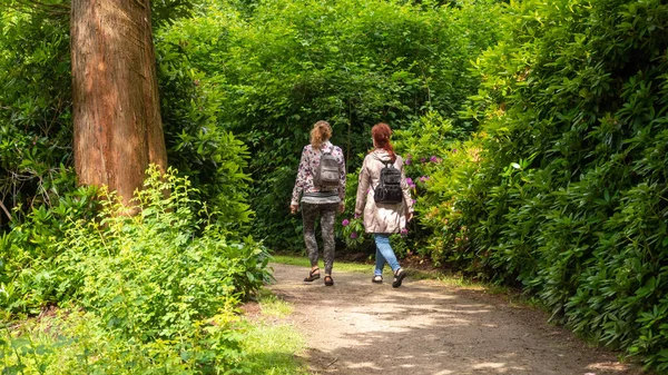 Vaassen Niederlande Juni 2021 Die Menschen Gehen Auf Schmalen Pfaden — Stockfoto