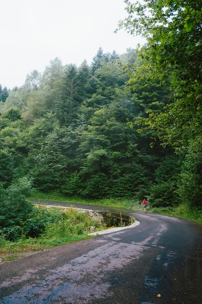 Plan Vertical Une Route Traversant Forêt Verdoyante Avec Une Randonneuse — Photo