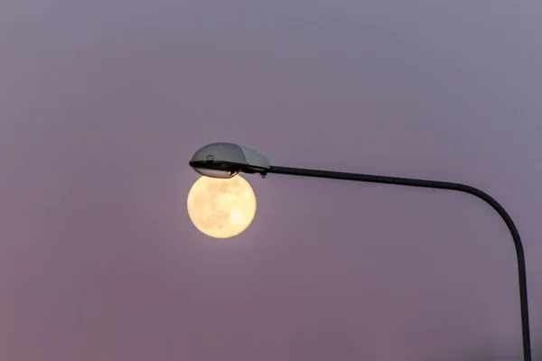 Una Hermosa Vista Una Luna Entera Una Farola Visualmente Juntas —  Fotos de Stock