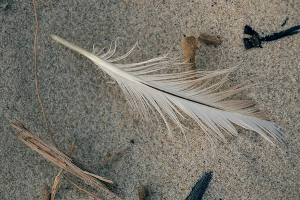 Une Vue Dessus Sable Sur Plage Mer Baltique Lituanie — Photo