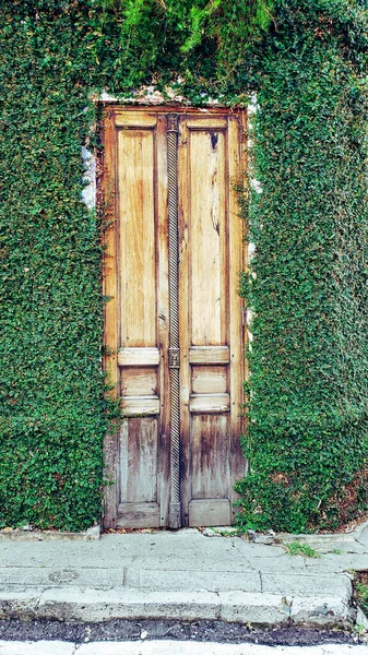 Vertikální Záběr Dveře Budovy Zarostlými Zelenými Listy Stěně — Stock fotografie