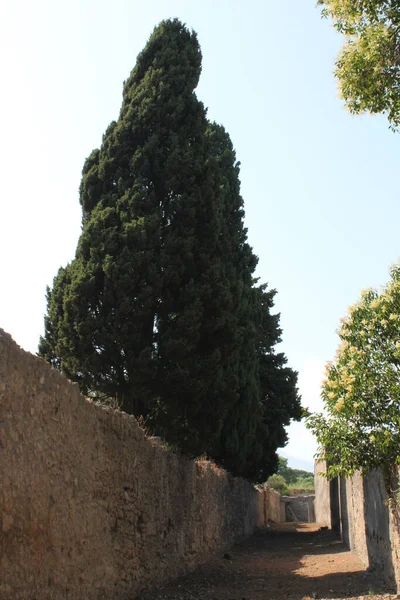 Eine Enge Gasse Zwischen Steinzäunen — Stockfoto