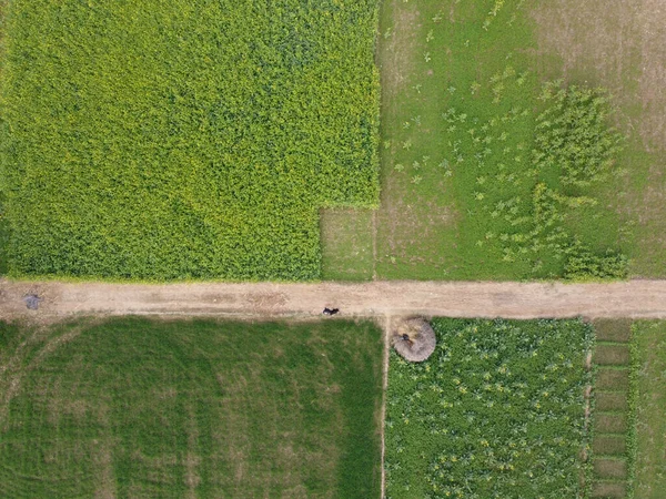 Top View Shot Road Surrounded Some Fields Day — Stock Photo, Image
