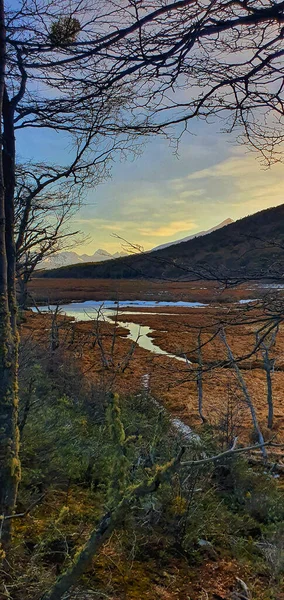 Sebuah Gambar Indah Dari Sebuah Danau Dengan Pohon Pohon Musim — Stok Foto