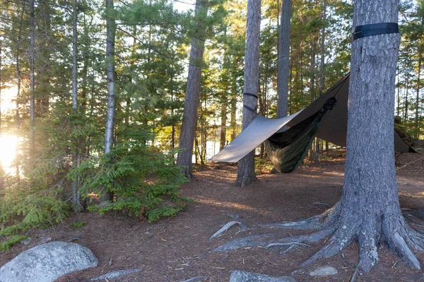 Tenda Nella Foresta — Foto Stock