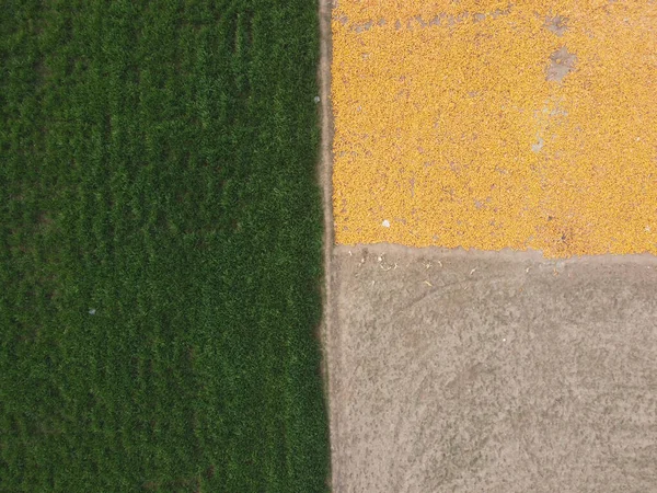 Top View Shot Road Surrounded Some Fields Day — Stock Photo, Image