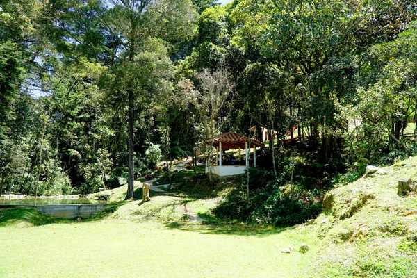 Medellin Colombia Julio 2019 Primer Plano Del Parque Público Arvi — Foto de Stock