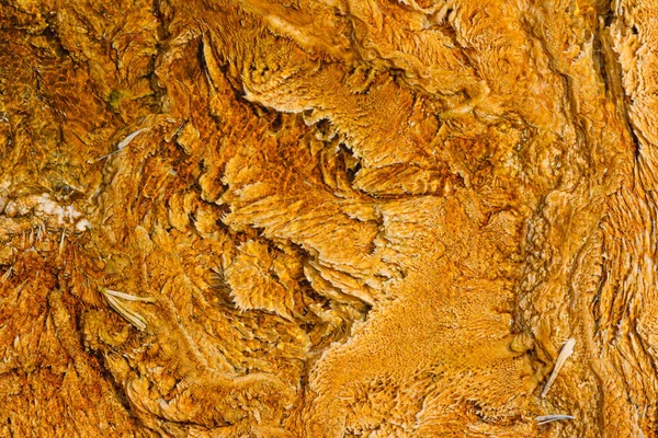 Yellowstone Bakteriepooler Usa — Stockfoto