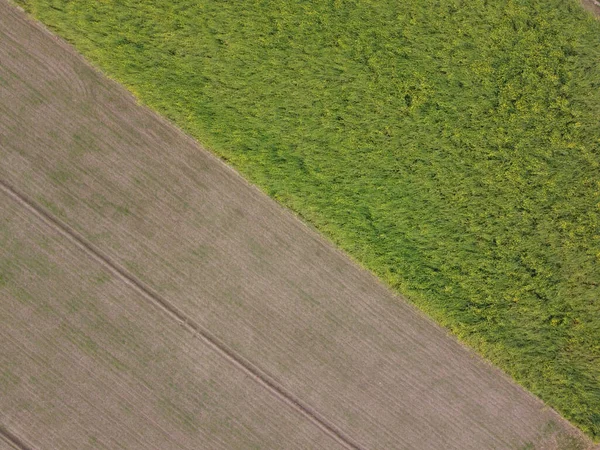 Vue Dessus Une Route Entourée Champs Pendant Journée — Photo