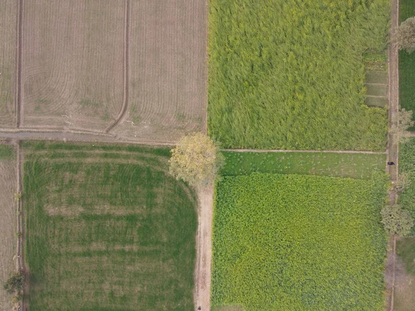 Top View Shot Road Surrounded Some Fields Day — Stock Photo, Image