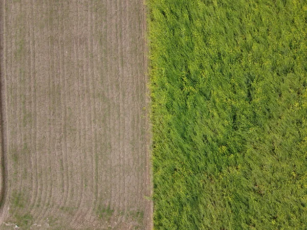 Top View Shot Road Surrounded Some Fields Day — Stock Photo, Image