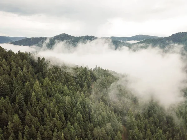 Floresta Negra Com Nuvens Nevoeiro Alemanha Árvores Cima Droneshot Nuvens — Fotografia de Stock
