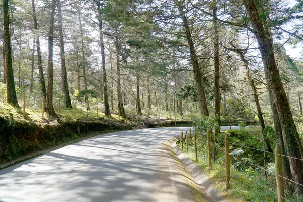 Medellin Colombia Jul 2019 Road Leading Public Arvi Forest Medellin — Stock Photo, Image