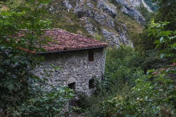 Een Oude Stenen Structuur Omgeven Door Groene Vegetatie — Stockfoto