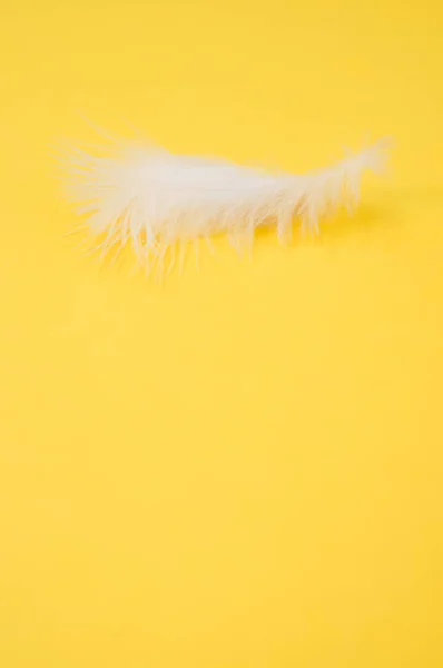 Uma Pena Branca Macia Sobre Fundo Amarelo — Fotografia de Stock