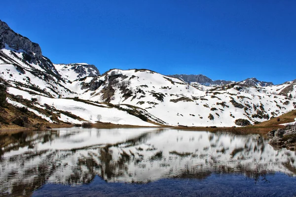 Primer Plano Hermoso Lago Con Reflejo Una Gran Montaña Nevada — Foto de Stock