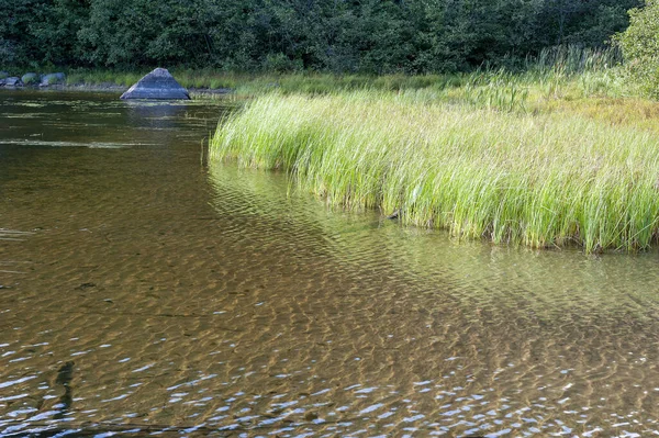 Sjön Nära Grässlätten — Stockfoto