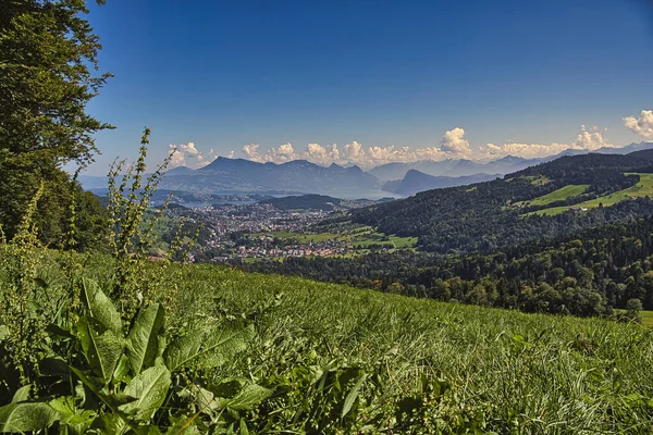 Landscape Holderkappeli Schwarzenberg Forest Blue Sky — Stock Photo, Image