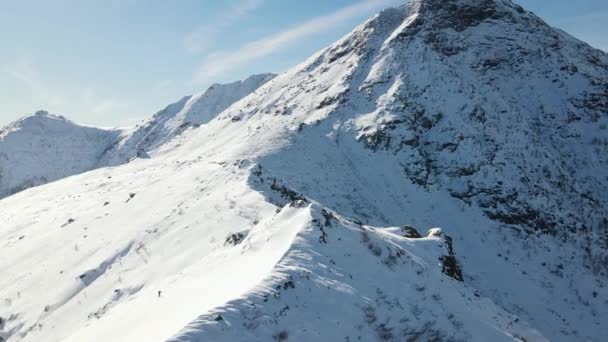 Vista Panoramica Sulle Montagne Coperte Alberi — Video Stock