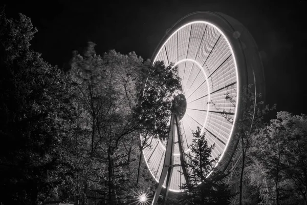 Graustufenaufnahme Eines Sich Drehenden Riesenrads Der Nacht — Stockfoto