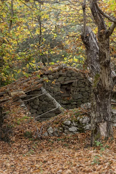 秋の森の中の古い石の山 — ストック写真
