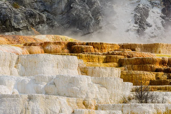 Szinteres Teraszok Közelében Mamut Közel Yellowstone Baktériumok Medencék Usa Ban — Stock Fotó
