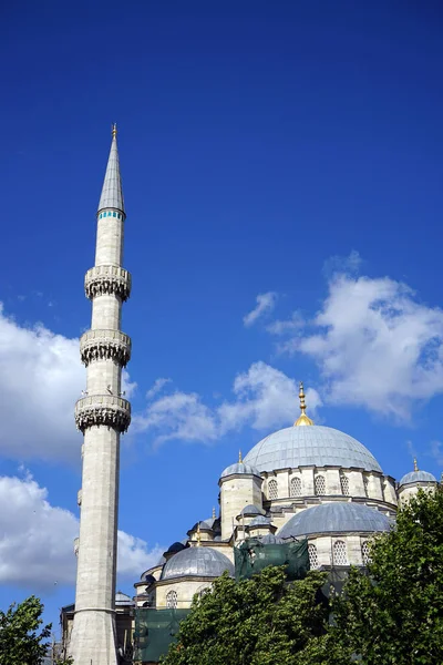 天空下的清真寺 — 图库照片