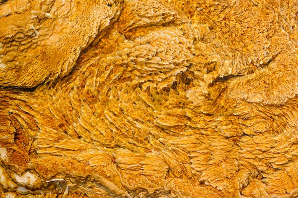 Piscinas Bactérias Yellowstone Nos Eua — Fotografia de Stock