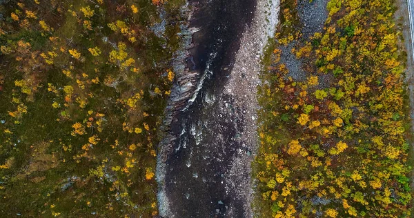 Повітряний Вид Над Порогами Середині Осіннього Кольору Листя Лісу Сонячний — стокове фото