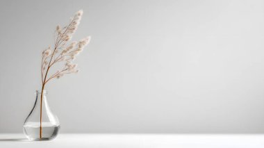 Zarif kurumuş çiçek sapları şeffaf, yuvarlak bir vazoda duruyor. Sakin, minimalist ve sanatsal bir oda atmosferi yaratıyor..