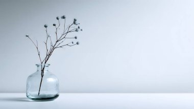 Zarif kurumuş çiçek sapları şeffaf, yuvarlak bir vazoda duruyor. Sakin, minimalist ve sanatsal bir oda atmosferi yaratıyor..